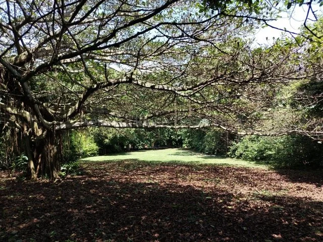 Venta de Lote en San Pablo de Turrubares. RAH 26-1602 - Venta en Turrubares, photo 15