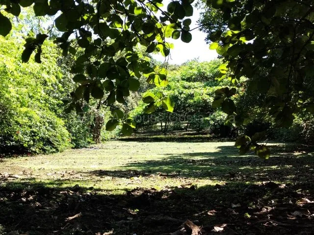 Venta de Lote en San Pablo de Turrubares. RAH 26-1602 - Venta en Turrubares, photo 17
