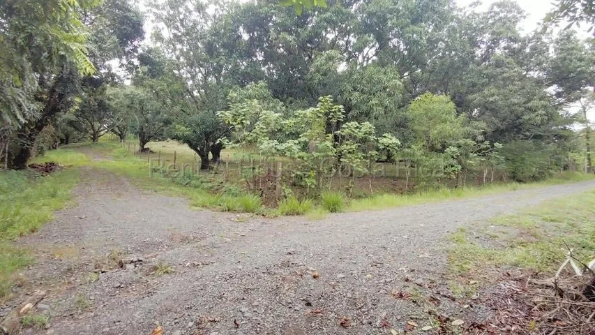 Venta de Lote en San Pablo de Turrubares. RAH 26-1602 - Venta en Turrubares, photo 19