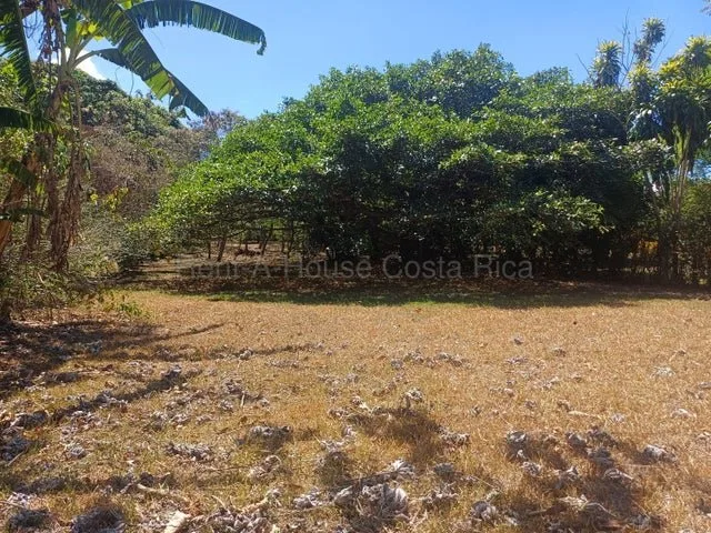 Venta de Lote en San Pablo de Turrubares. RAH 26-1602 - Venta en Turrubares, photo 3