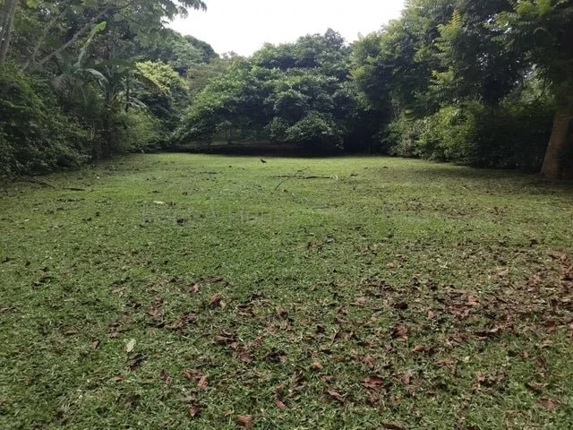 Venta de Lote en San Pablo de Turrubares. RAH 26-1602 - Venta en Turrubares, photo 5