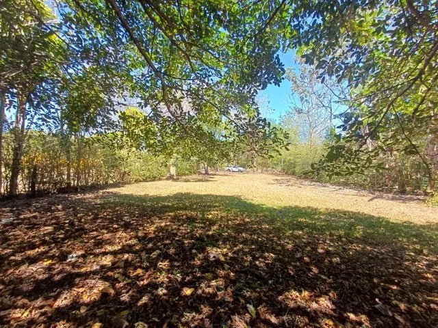 Venta de Lote en San Pablo de Turrubares. RAH 26-1602 - Venta en Turrubares, photo 7
