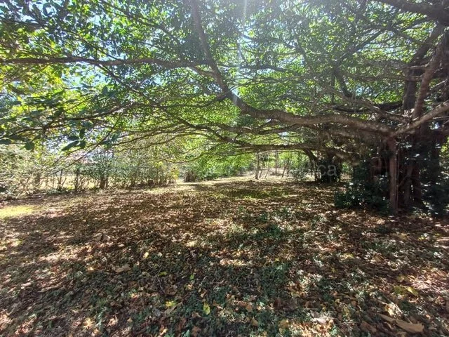 Venta de Lote en San Pablo de Turrubares. RAH 26-1602 - Venta en Turrubares, photo 9