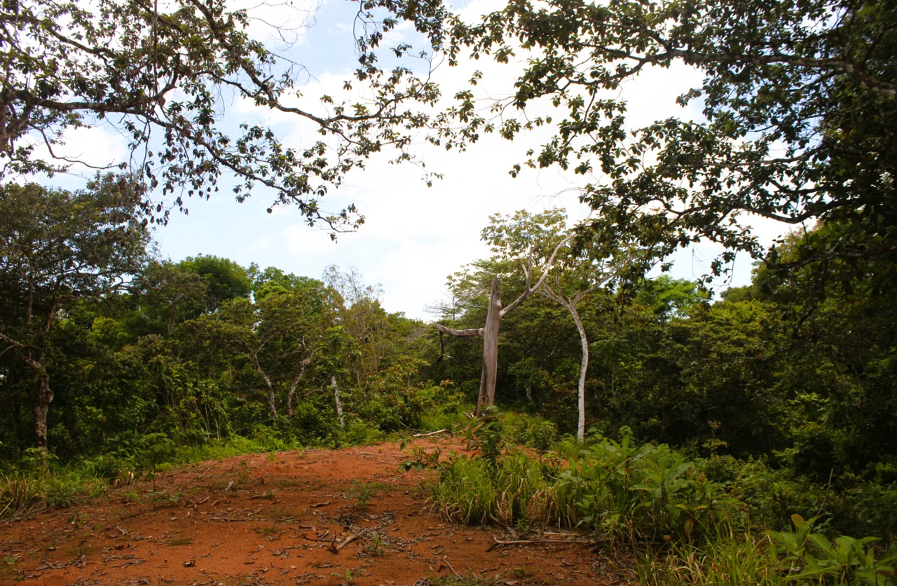 EXCLUSIVE 55-ACRE FARM: A RARE OPPORTUNITY IN CHONTALES, photo 13