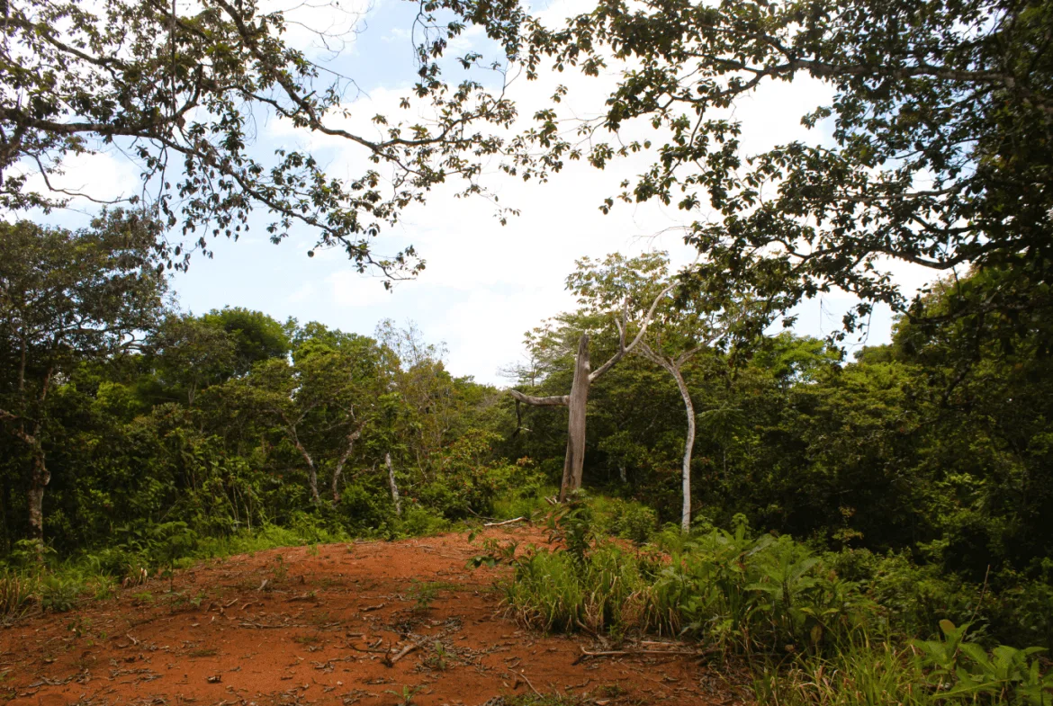 EXCLUSIVE 55-ACRE FARM: A RARE OPPORTUNITY IN CHONTALES, photo 14