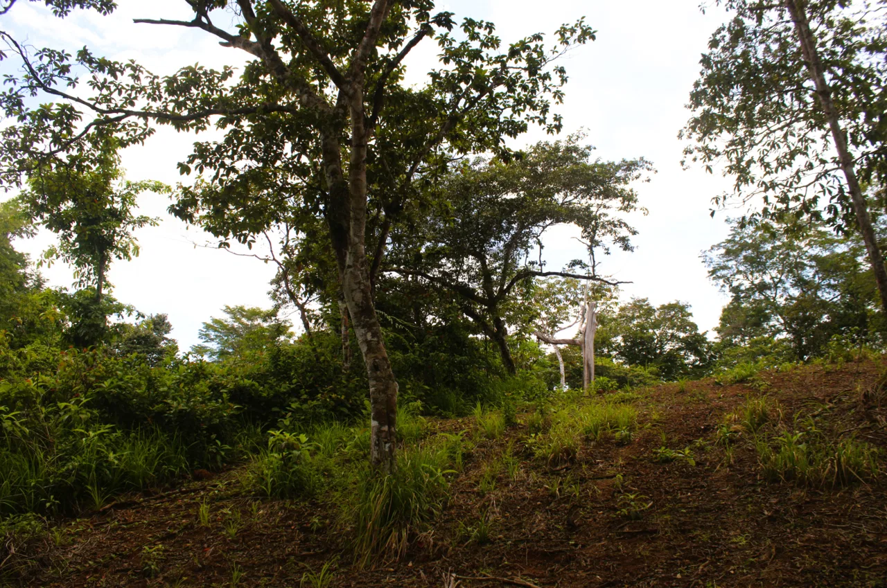 EXCLUSIVE 55-ACRE FARM: A RARE OPPORTUNITY IN CHONTALES, photo 15