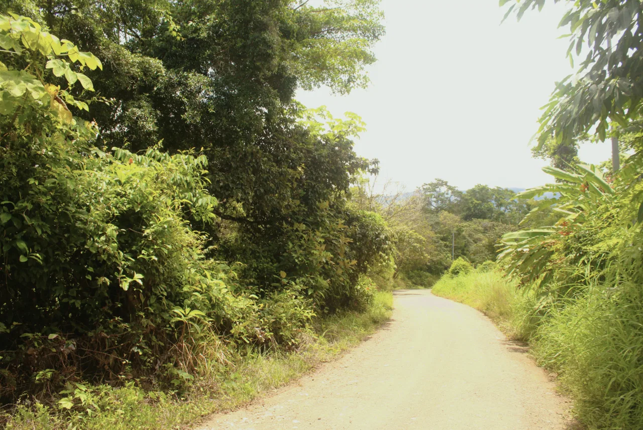 EXCLUSIVE 55-ACRE FARM: A RARE OPPORTUNITY IN CHONTALES, photo 19