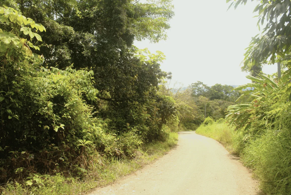EXCLUSIVE 55-ACRE FARM: A RARE OPPORTUNITY IN CHONTALES, photo 20