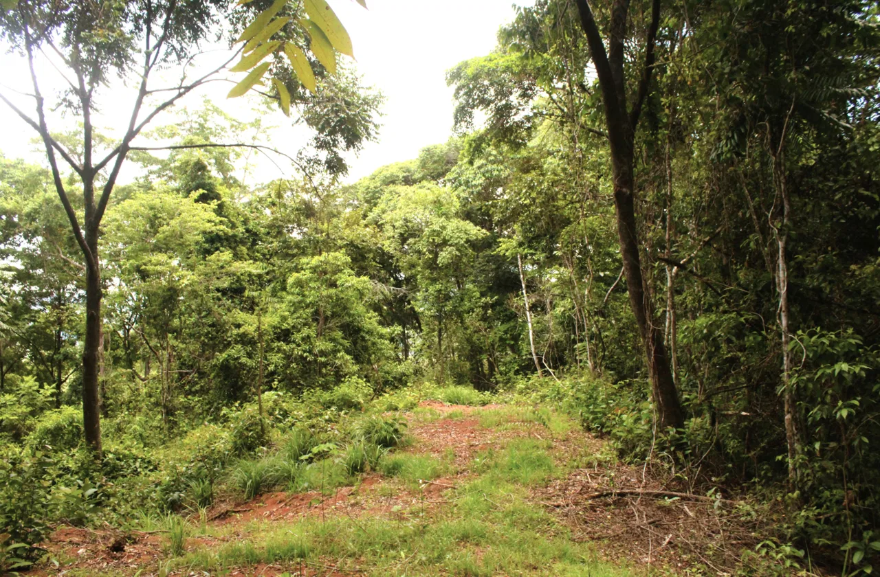 EXCLUSIVE 55-ACRE FARM: A RARE OPPORTUNITY IN CHONTALES, photo 3