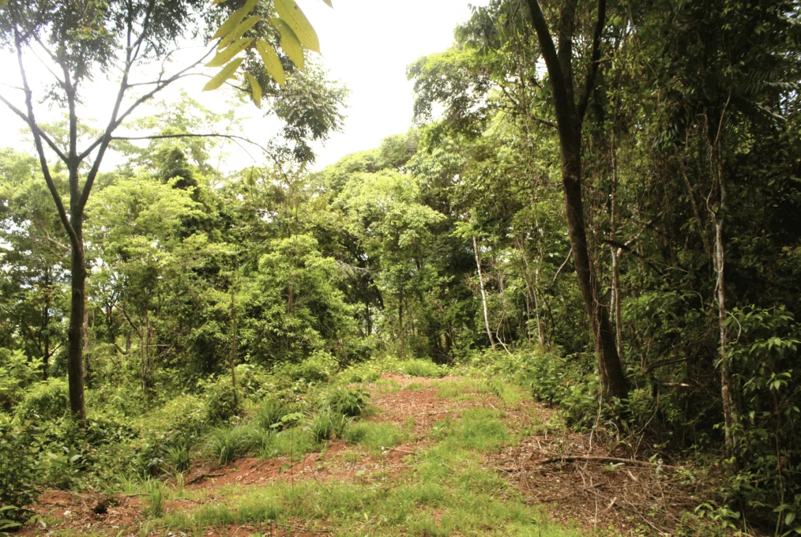 EXCLUSIVE 55-ACRE FARM: A RARE OPPORTUNITY IN CHONTALES, photo 4