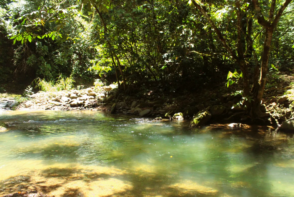 EXCLUSIVE 55-ACRE FARM: A RARE OPPORTUNITY IN CHONTALES, photo 6