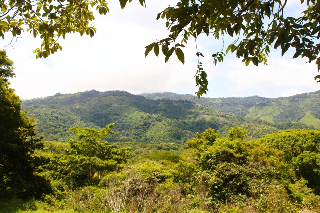 EXCLUSIVE 55-ACRE FARM: A RARE OPPORTUNITY IN CHONTALES, photo 7
