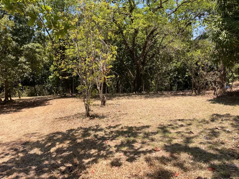 Land For Sale in Playa Carrillo, photo 14