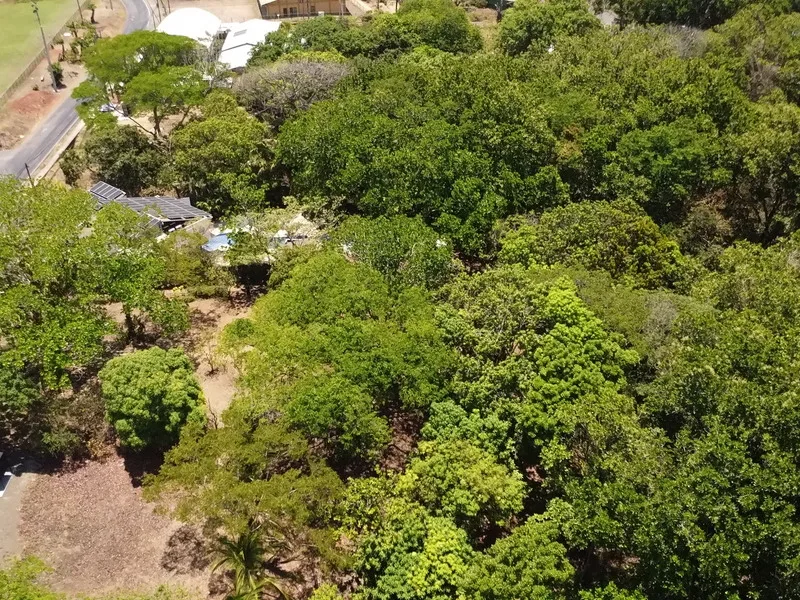 Land For Sale in Playa Carrillo, photo 5