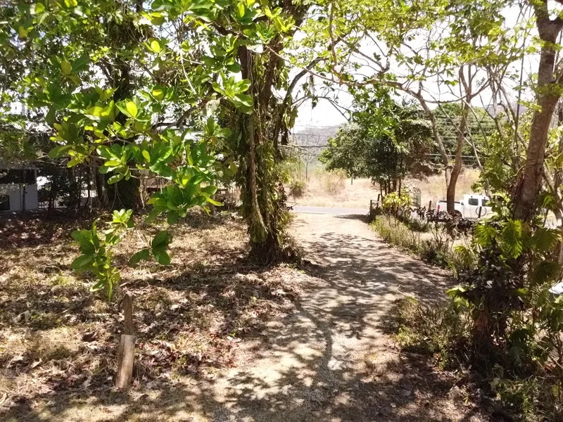 Land For Sale in Playa Carrillo, photo 6