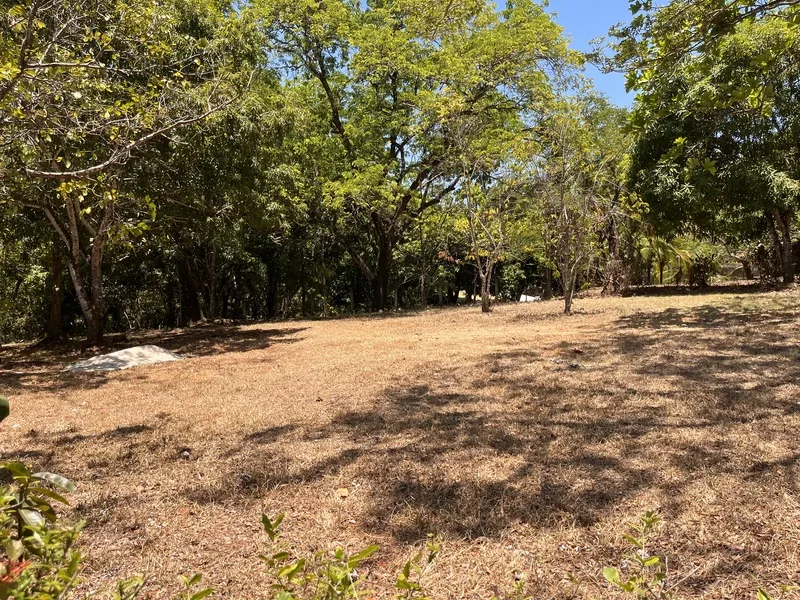 Land For Sale in Playa Carrillo, photo 7