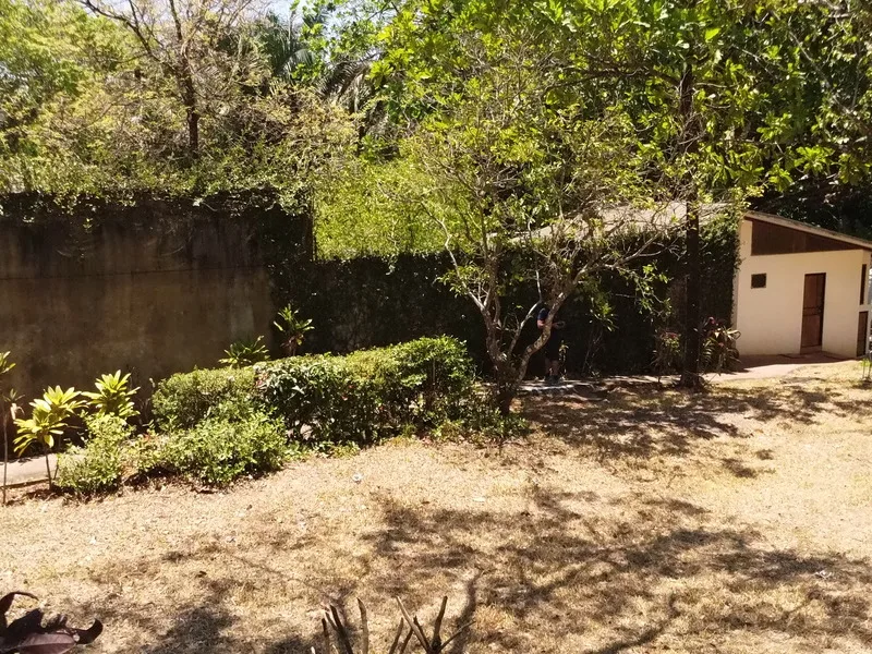 Land For Sale in Playa Carrillo, photo 8