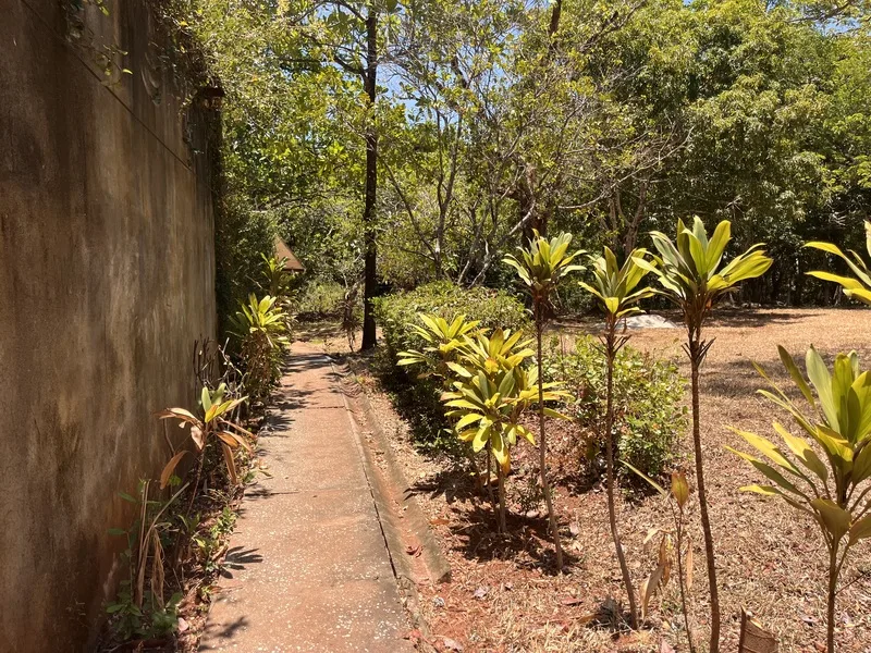 Land For Sale in Playa Carrillo, photo 9