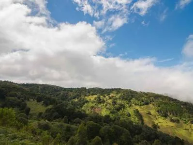 🏞️ Finca en el Corazón de Jardín de Dota 🌄 | Desarrollo Turístico y Agrícola de Alta Calidad