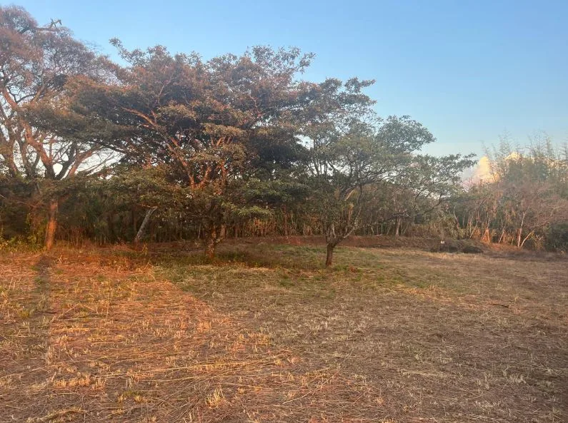 Exclusive Boutique Residential Development Opportunity in La Garita, Alajuela