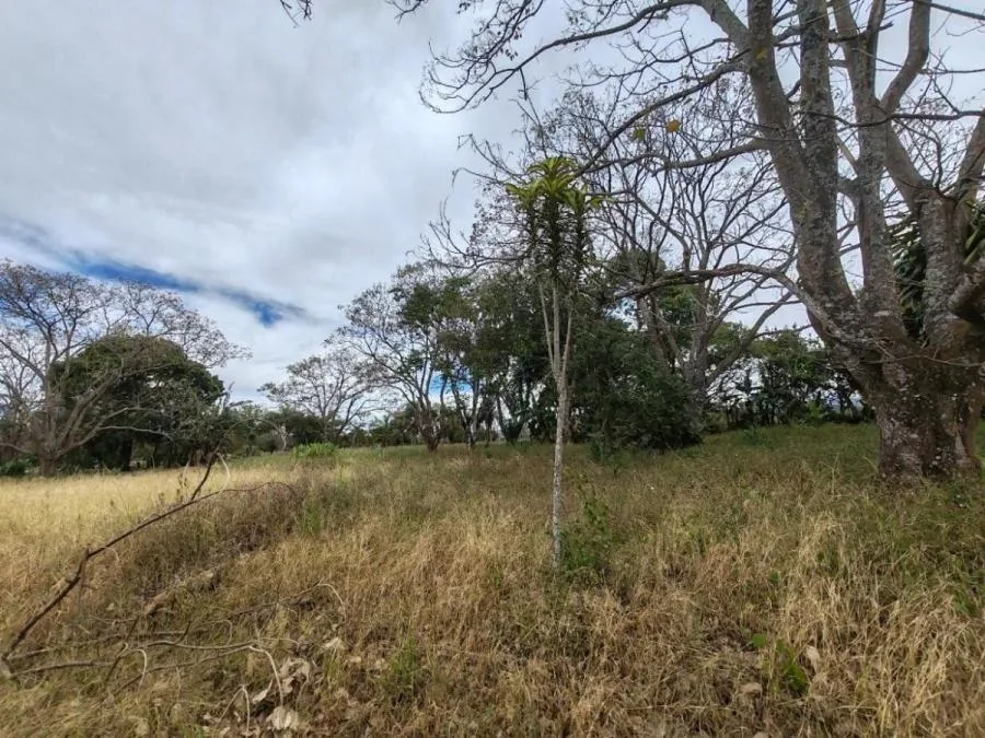 Venta de Finca en Desamparados, Alajuela . RAH 25-1444 - Venta en Desamparados, photo 10
