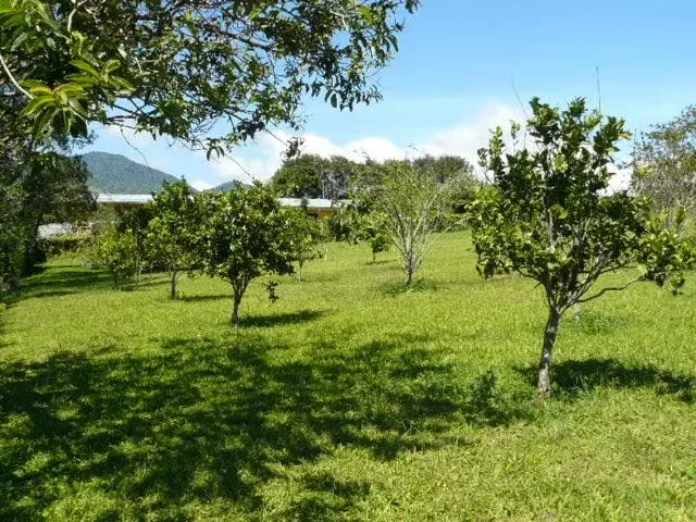 Quinta con 4 Casas en San Isidro de Heredia, Heredia