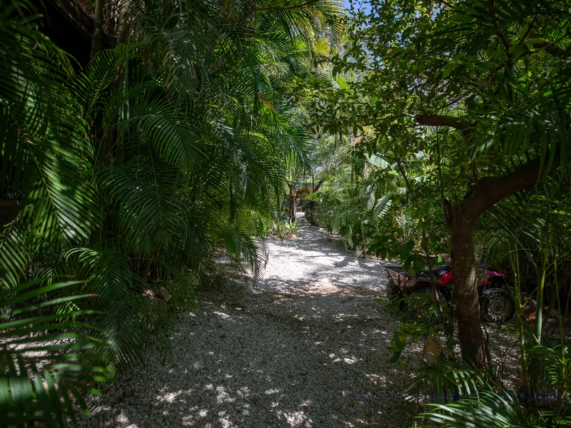 10 Bed Hotel / Leisure For Sale in Nosara, photo 8