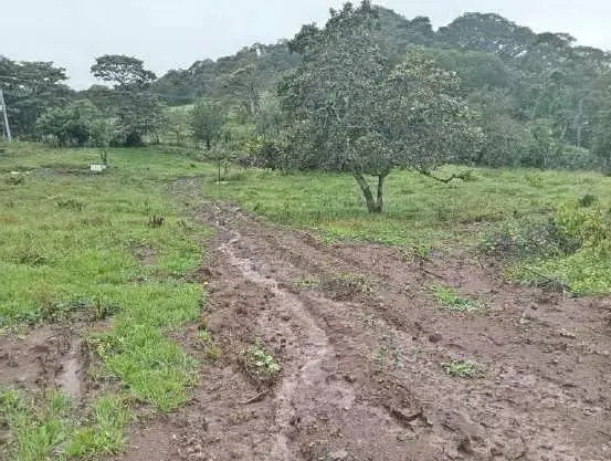 Terreno en Turrúcares, San Miguel, photo 3
