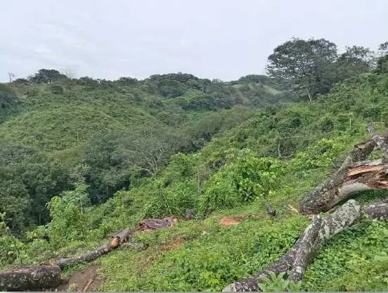 Terreno en Turrúcares, San Miguel, photo 4