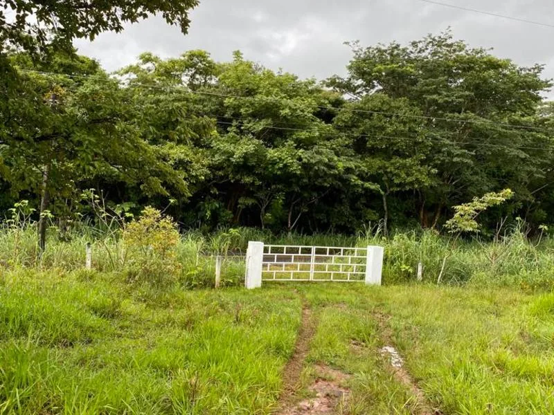 Land For Sale in Turrubares, photo 6