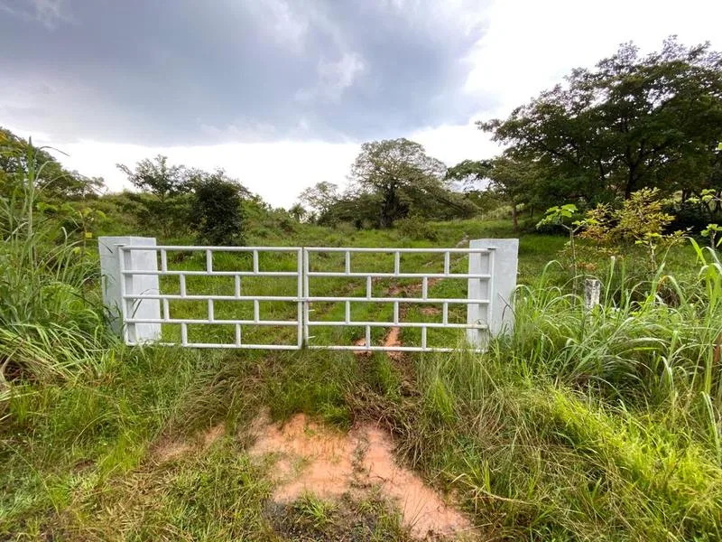 Land For Sale in Turrubares, photo 7