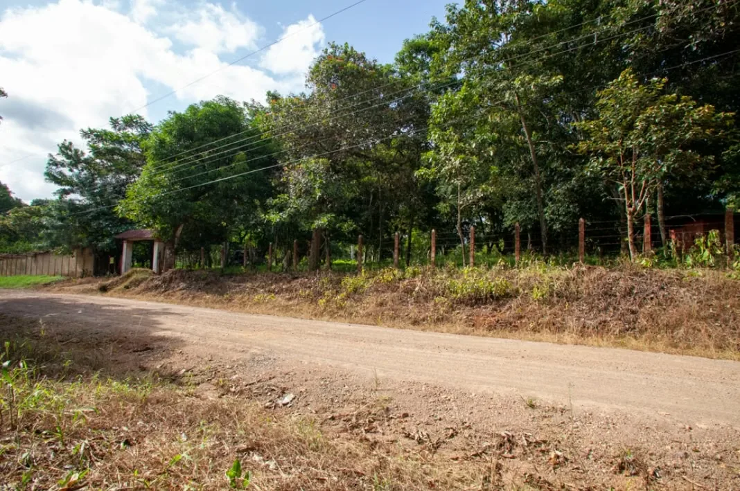 Land for sale in San Pablo de Turrubares, photo 2