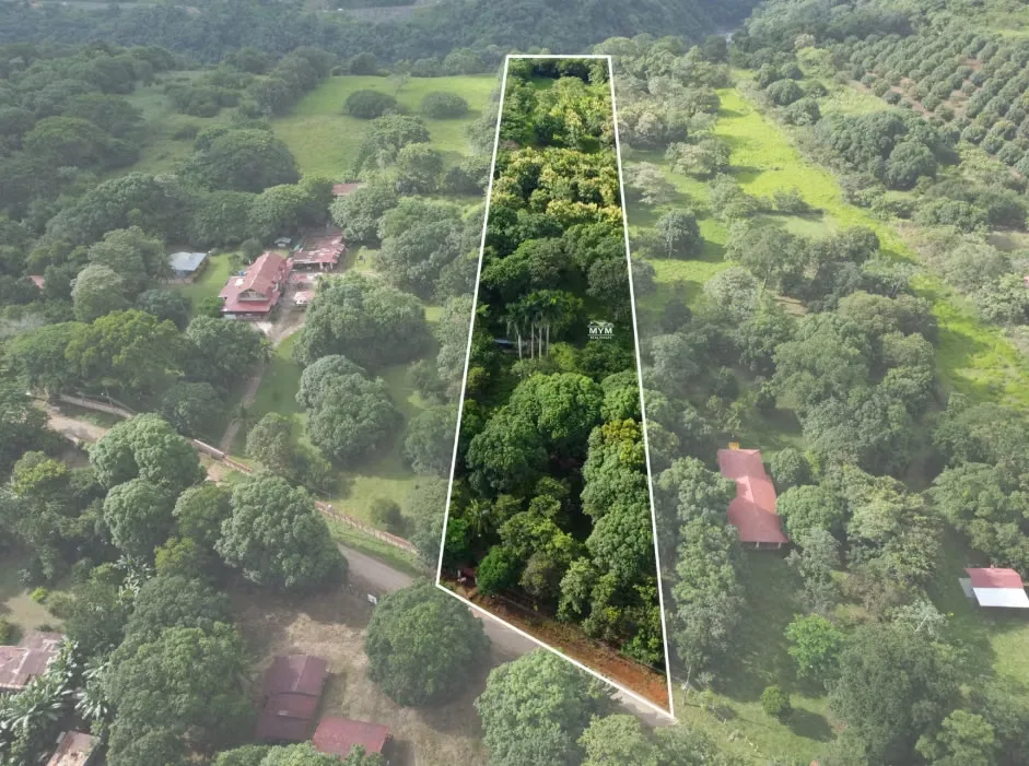 Land for sale in San Pablo de Turrubares, photo 6