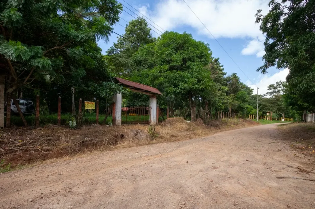 Land for sale in San Pablo de Turrubares, photo 7