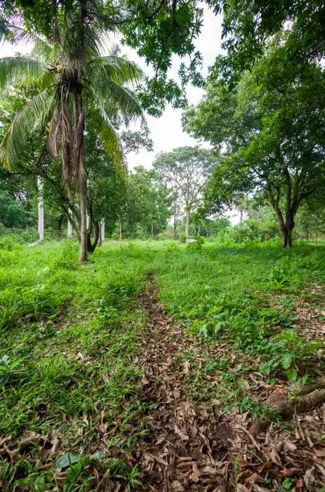 Land for sale in San Pablo de Turrubares, photo 10