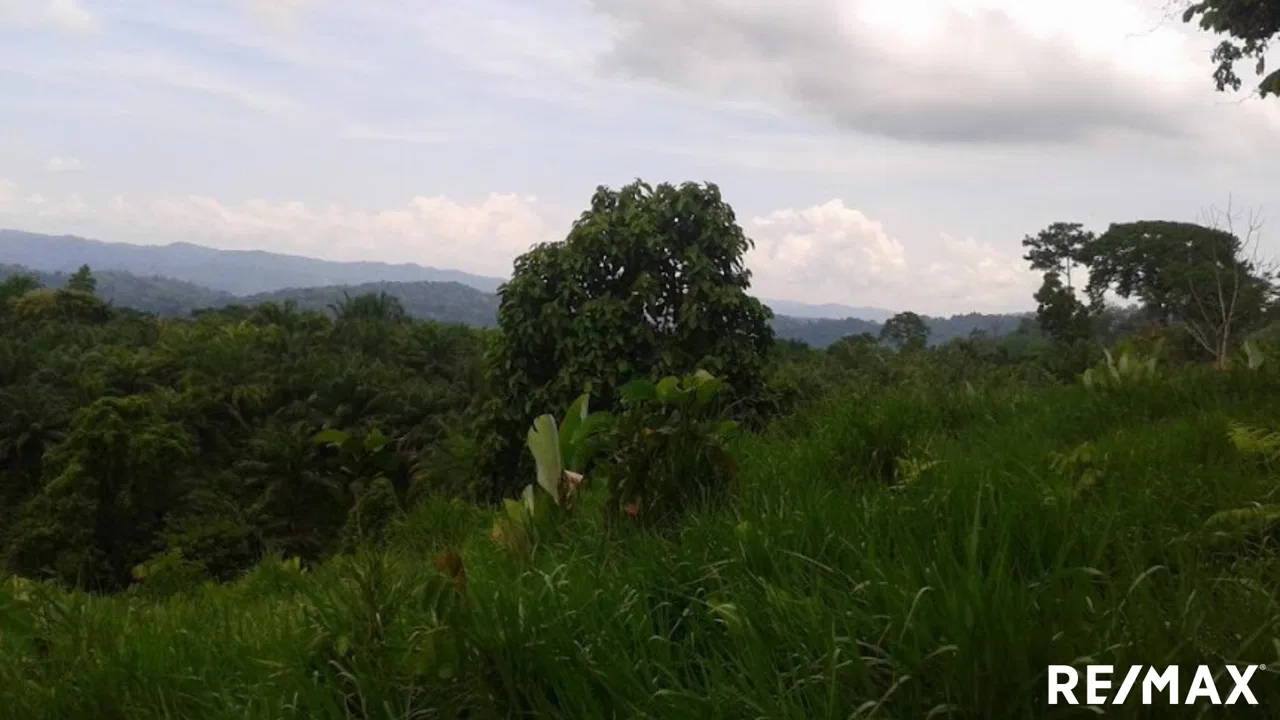 Palm Haven Retreat, photo 2