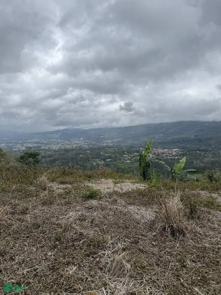 Verbena Norte, Turrialba, Cartago 30501