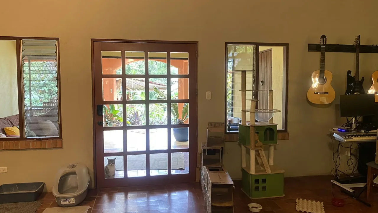 Hermosa casa de una planta, ubicada en una propiedad tranquila y rodeada de naturaleza, que cuenta además con dos apartamentos ..., photo 8