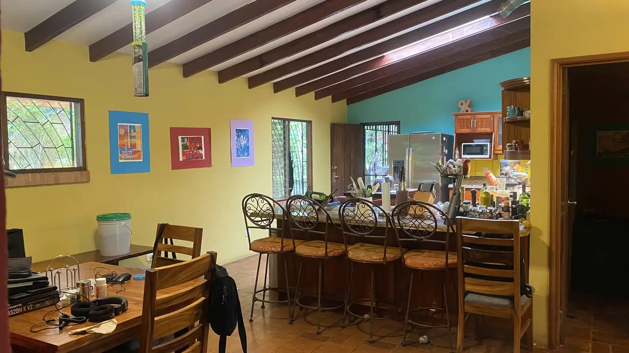 Hermosa casa de una planta, ubicada en una propiedad tranquila y rodeada de naturaleza, que cuenta además con dos apartamentos ..., photo 10