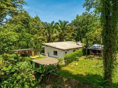 JUNGLE PROPERTY IN VENTANAS OJOCHAL –  2.19 ACRES, photo 30