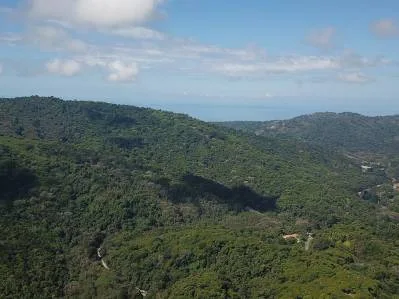 Propiedad ribereña con bosque primario cerca de las playas de Uvita., photo 7