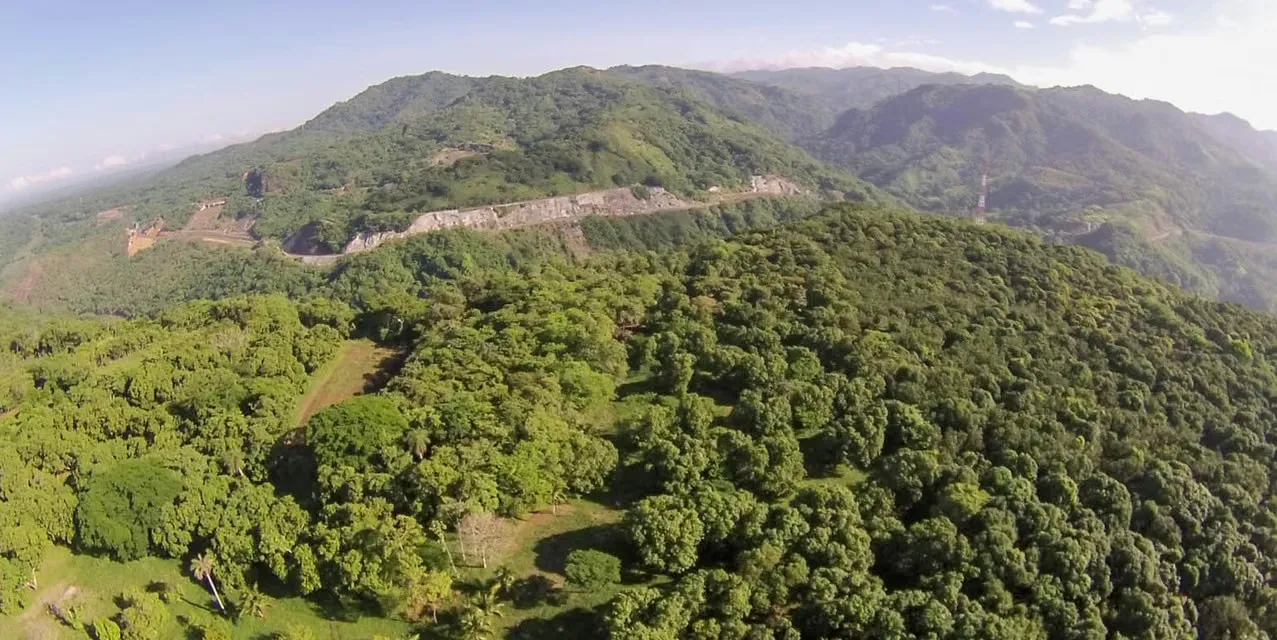 Tropical fruit farm with main and guest houses, pool, and BBQ rancho in San Pablo de Turrubares. 26 hectares with mango and avocado trees, paved access, and utilities. Costa Rica, photo 6