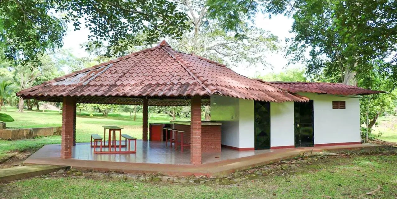 Tropical fruit farm with main and guest houses, pool, and BBQ rancho in San Pablo de Turrubares. 26 hectares with mango and avocado trees, paved access, and utilities. Costa Rica, photo 8