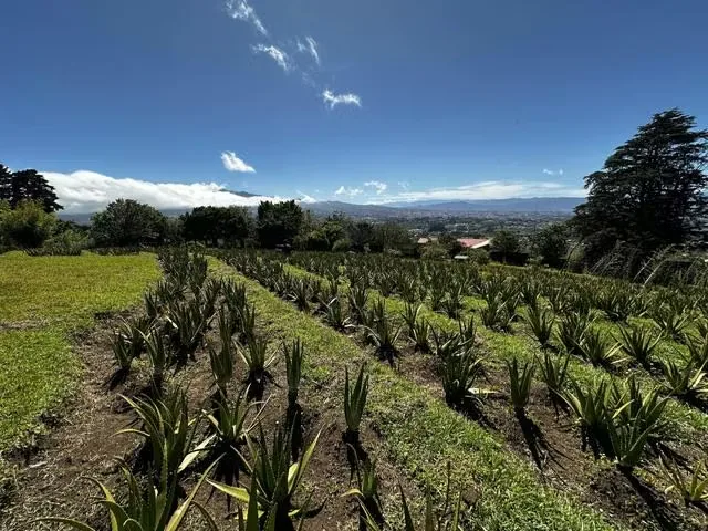 Looking for a private retreat with breathtaking views? This amazing 8,430 m² estate located in Concepción de San Isidro, Heredia, is perfect ..., photo 11