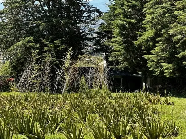 Looking for a private retreat with breathtaking views? This amazing 8,430 m² estate located in Concepción de San Isidro, Heredia, is perfect ..., photo 10