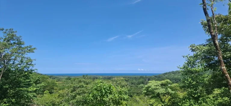 Land in Pilas de Bejuco: 19 Hectares in Pilas de Bejuco