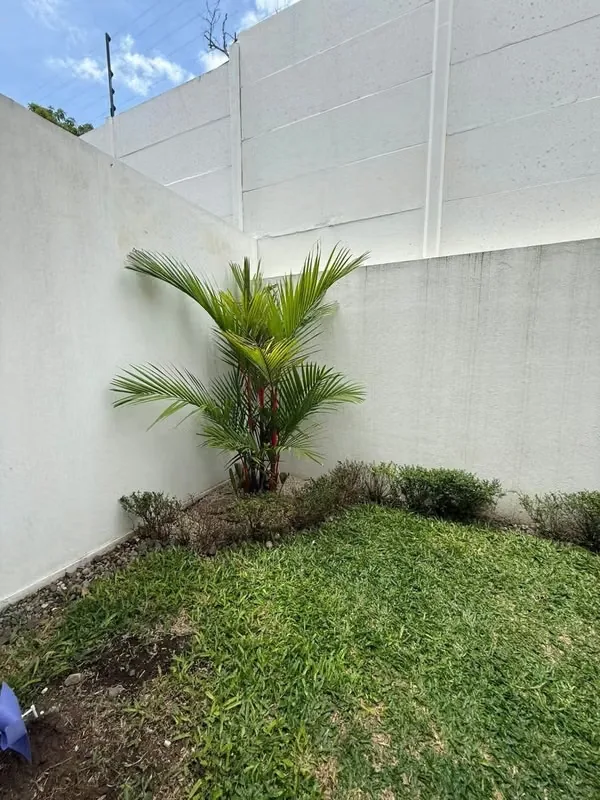 APARTMENT FOR RENT – NÚCLEO CONDOMINIUM, SABANA, photo 13