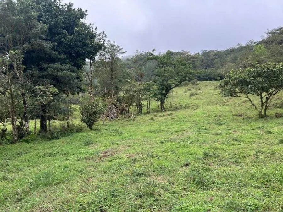 Lote en Venta en Guanacaste, Sardinal de Carrillo 5PDN9535816 - Venta en Carrillo, photo 11
