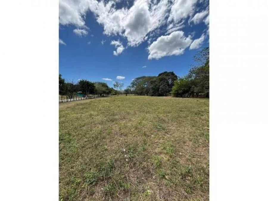 Lote en Venta en Guanacaste, Sardinal de Carrillo 5PDN9535816 - Venta en Carrillo, photo 3