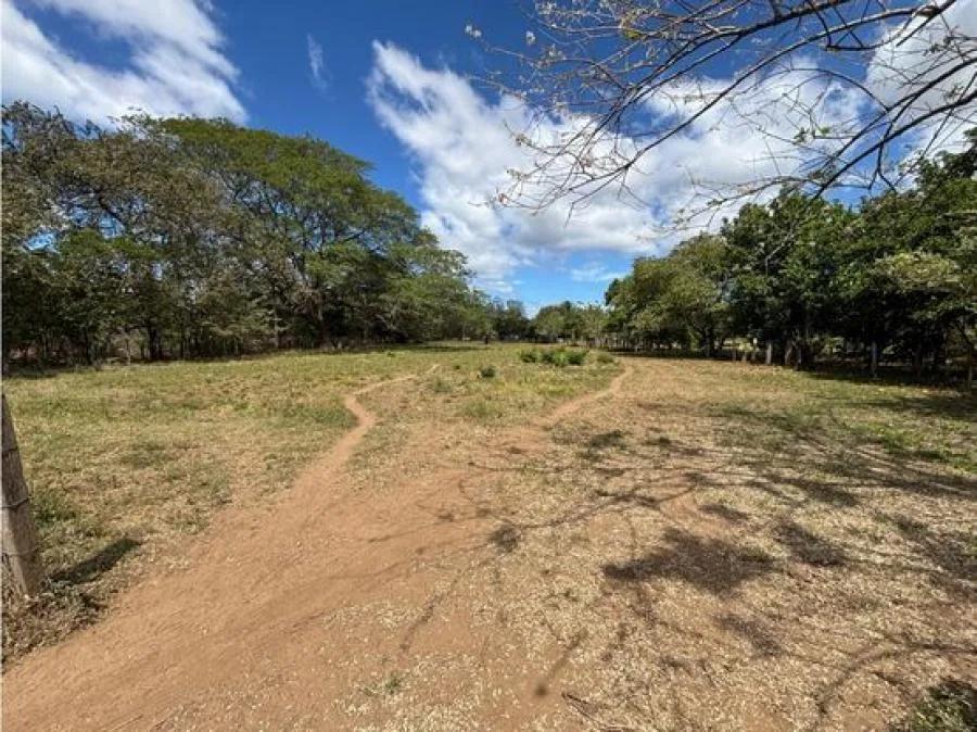 Lote en Venta en Guanacaste, Sardinal de Carrillo 5PDN9535816 - Venta en Carrillo, photo 4